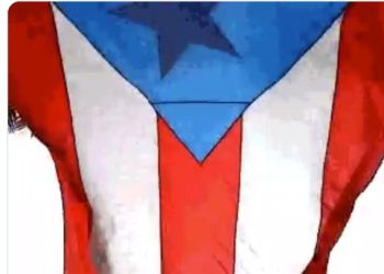 “미국 영토 맞아?” 푸에르토리코, 법적 지위 국민공청회