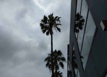 캘리포니아 여름, 왜 구름 잔뜩 흐릴까: ‘준 글룸'(June Gloom)