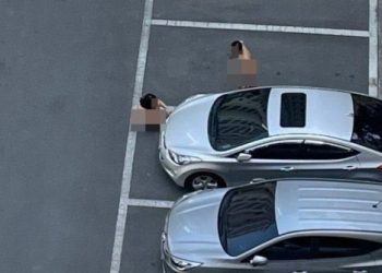 [이런 일이]대낮 아파트 주차장서 알몸 남녀 실랑이..도대체 무슨 일