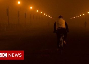 세계 최악 오염도시 인도 델리, 대기오염으로 수명 10년 단축