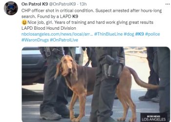 CHP 경관에 총 쏜 총격범, 경찰견이 잡았다