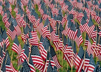 “미국산 성조기만 사라” …수입 깃발 99.5% 중국산