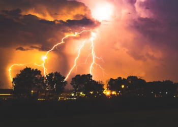 LA 50대 여성, 산책 중 낙뢰 맞아 숨져..반려견 2마리 사망