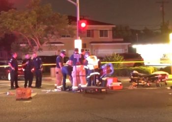 차량 3대에 연달아 뺑소니, 30대 플러튼 남성 참변