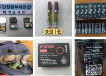 한국 입국하다 체포되는 한인들..”이유는 무심코 가져간 이 물건들 때문”