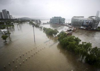[지금 한국] 200mm대 폭우에 사망자 2명… 중고차 100대 침수 등 피해 속출