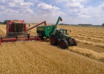 세계 밀 비축량 10주치 불과…8월부터 대기근 우려