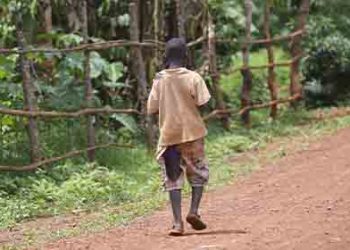 우크라이나발 식량위기 직격탄 아프리카·중동 5개국