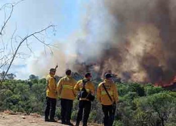 리버사이드 주루파 밸리 산불.. 100에이커, 주택 2채 전소