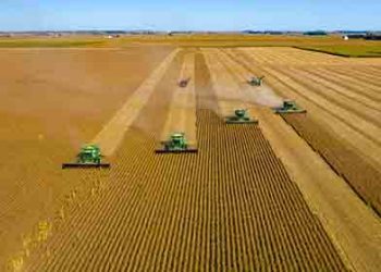 WTO 사무총장 “식량 위기 수 년 지속될 수 있다”