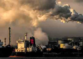 “개도국에 재생에너지 강요는 위선적”