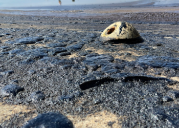 헌팅턴비치 대규모 기름유출 송유관업체 100만달러 배상