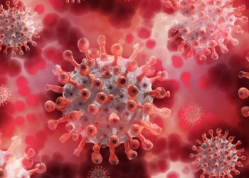 미국, 오미크론 하위변이 BA5 54% 차지…올 가을 대규모 재확산 우려