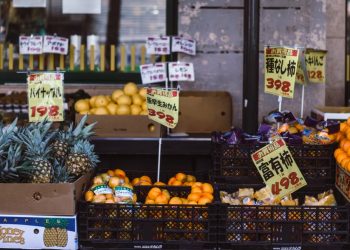 물가폭등에 일본 학교 급식 과일 중단