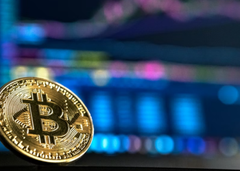 암호화폐 폭락, 개미들만 곡소리..월가 투자자들 피해 없어