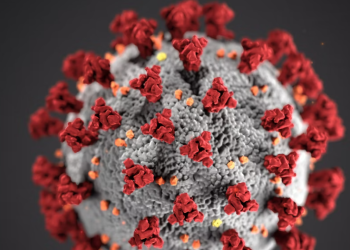 “BA.4·BA.5, mRNA 백신 무력화..4배 더 세다”