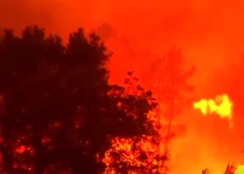 사상최악 폭염∙산불 유럽’기진맥진’…포르투갈·스페인 사망 1000명 넘어(영상)