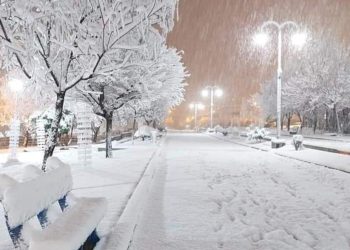 칠레∙아르헨티나 기록적 폭설(영상)..수백 대 트럭 고립