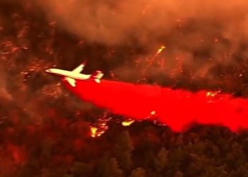 (2보)요세미티 산불, 세콰이어 ‘아슬아슬'(영상)..비상사태선포