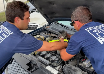 고양이는 엔진룸이 좋아…끼었다 구조되고 입양까지(영상)