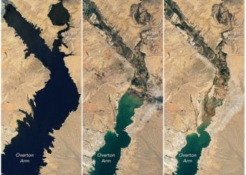 호수 바닥 사체 얼마나 감춰져 있길래… 미드호에서 세번째 인간 유해 발견