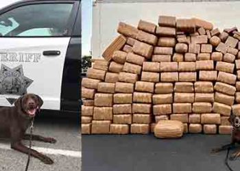 샌디에고 국경서 역대 최대 규모 마약 적발..메탐페타민 5천파운드