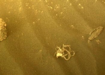 화성 표면 모래에서 끈 모양 의문의 물체