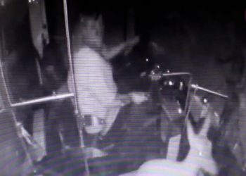 버스 유리창 깨고 난데없이 뛰어든 사슴(영상)