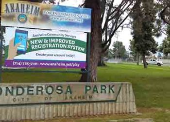 LA서 집 앞마당 불꽃놀이 남성 사망