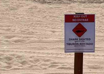 남가주 지역 해안, 8곳 입수 금지