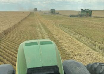 “물가 떨어질까?” 식량가격 8.6% 하락 넉 달째↓…14년 만 최대 폭