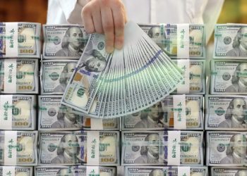 달러화 기축통화 지위 흔들..연방의회, 디지털달러 도입 추진