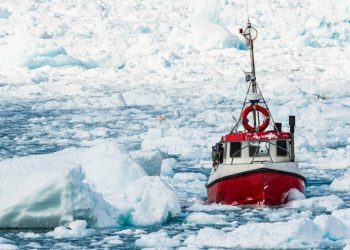 베조스·블룸버그·게이츠, 그린란드서 뭐하고 있나보니..