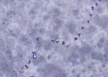 바이든 행정부, ‘이민자 멕시코 대기정책’ 폐기 착수