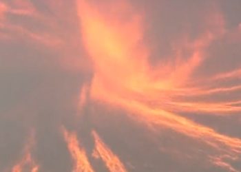 LA 북부 골만 지역 큰 불…파이어 토네이도 발생(영상)