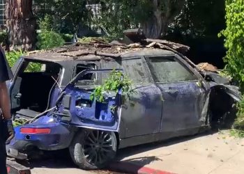 ‘차량돌진’ 앤 헤시 혼수상태 일주일 결국 사망(영상)