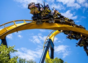 식스플래그 놀이공원서 총기 난사 3명 부상