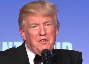 트럼프그룹 전 CFO, 세금사기 등 15개 혐의 모두 인정