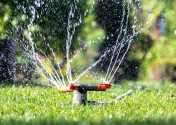 ‘가뭄비상’ 캘리포니아 ‘워터폴리스’ 등장…물 낭비 강력 규제