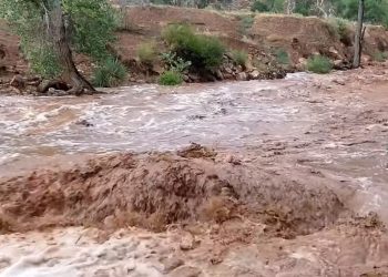 Zion, 아치스 등 유타 곳곳 돌발홍수..여성 등산객 휩쓸려(영상)