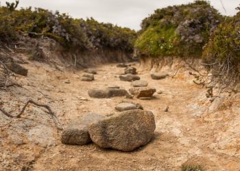 극심한 가뭄, 미국 경제 피해 본격화…중·유럽도 경제 타격