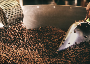 커피 원두값  10년만에 최고치…커피농장들 수확량 급감