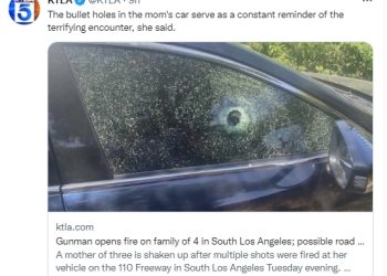 110번 프리웨이 운전자 격분, 세 아이 탄 차에 총기 난사