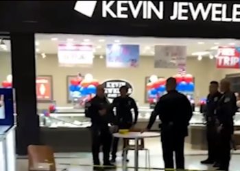 대형쇼핑몰 또 떼강도, 망치 들고 보석상 싹쓸이…쇼핑객들 패닉(영상)