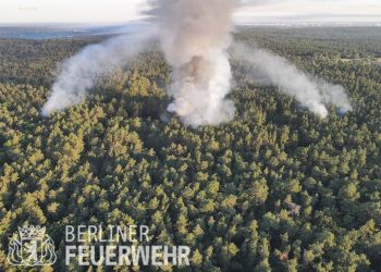 베를린 도심 그루네발트 숲 대형 화재…경찰 탄약 저장고 폭발