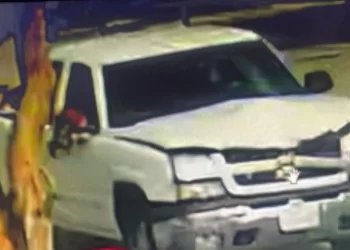 뺑소니 픽업트럭에 자전거 운전자 중태