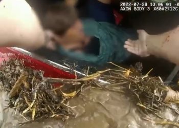 “나보다 우리 개 먼저 구해줘”…경찰관 애태운 여성 운전자(영상)