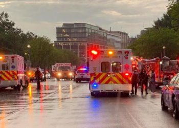 백악관 인근 공원서 남녀 4명 벼락 맞아 중태