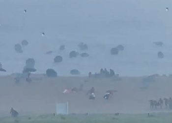 [이런 일도] 강풍에 파라솔 수십개 뽑혀 날아가…관광객들 혼비백산(영상)