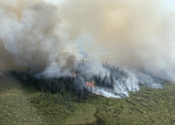 캐나다 동부 50년만에 최악 산불…비상사태 선포